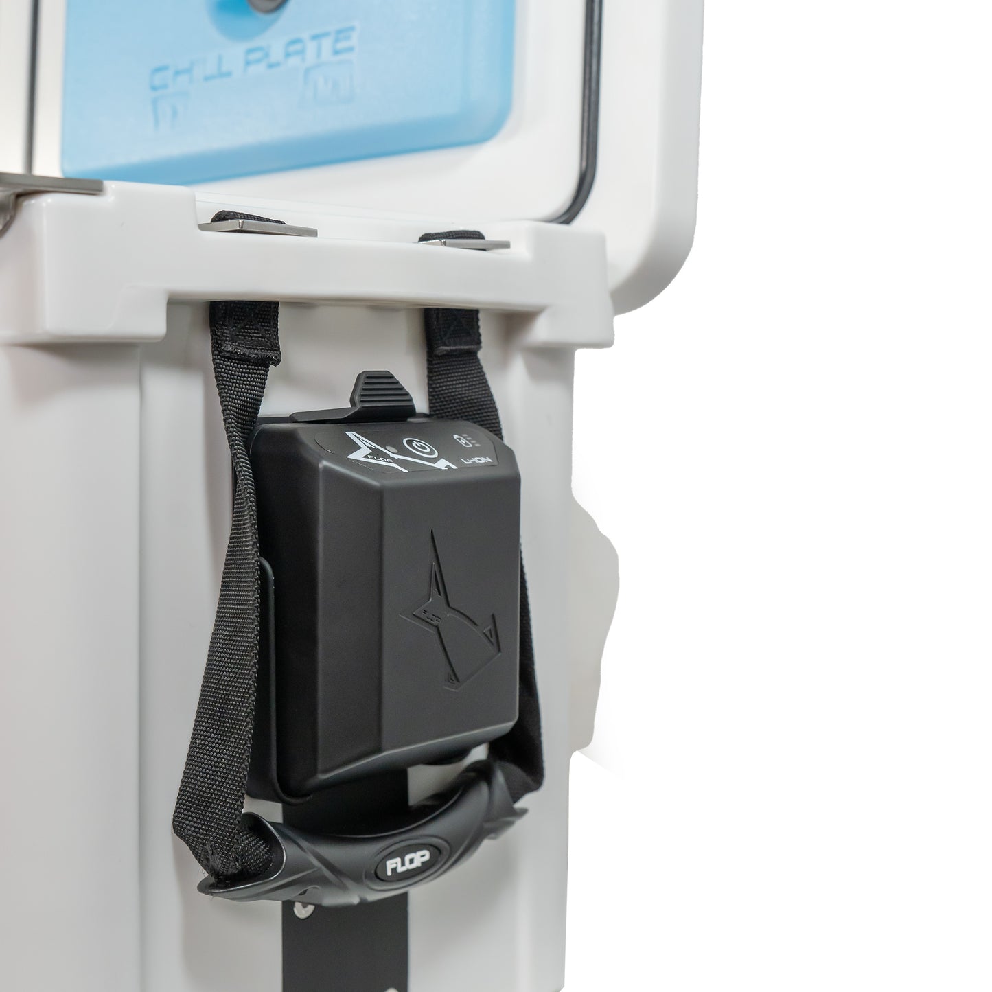 Live Bait Cooler - 20 Quart