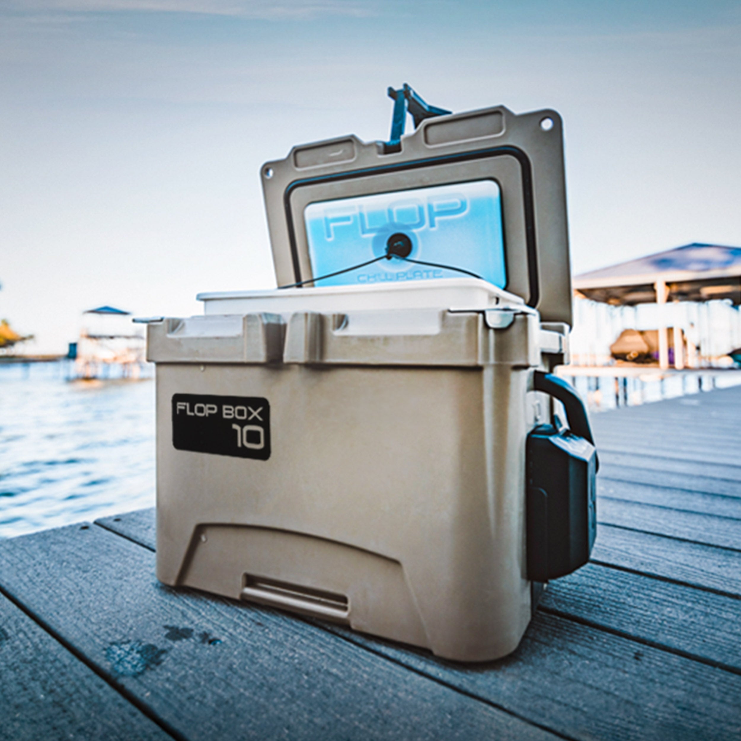 Live Bait Cooler - 10 Quart