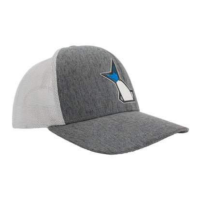 Grey Snapback Hat