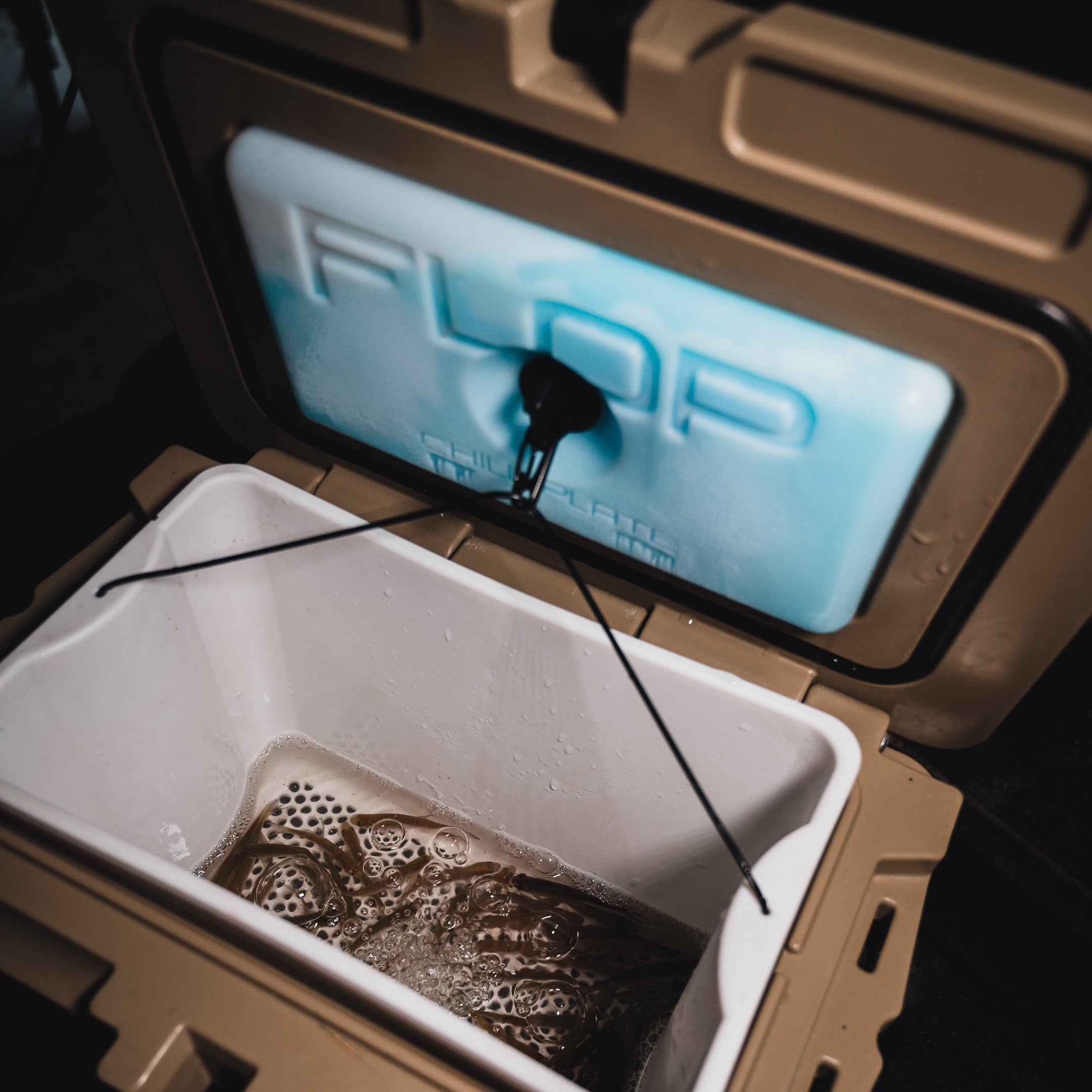 Bait Cooling Plate | Keep Your Live Bait Cool & Fresh Longer Live Bait Cooler