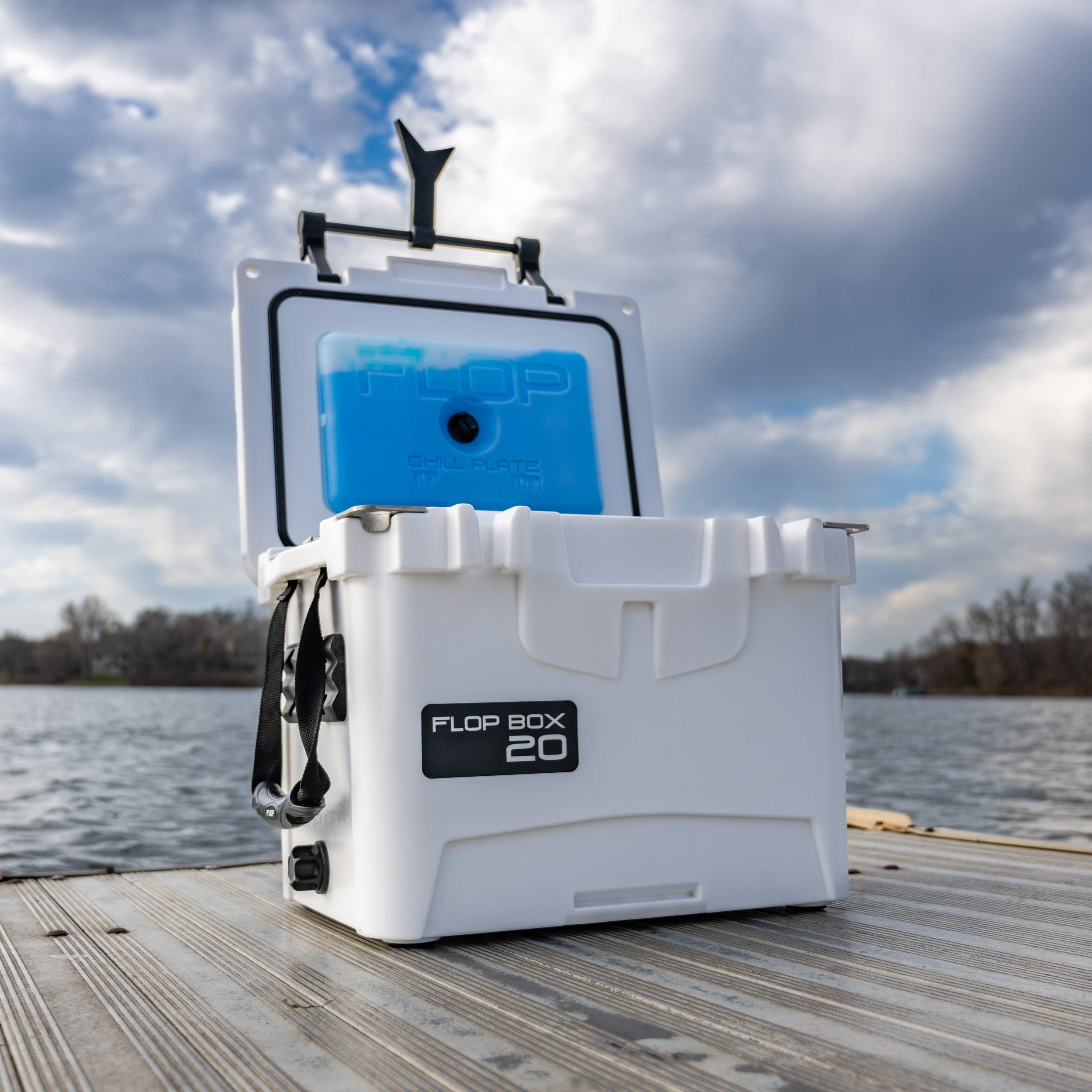 Live Bait Cooler - 20 Quart